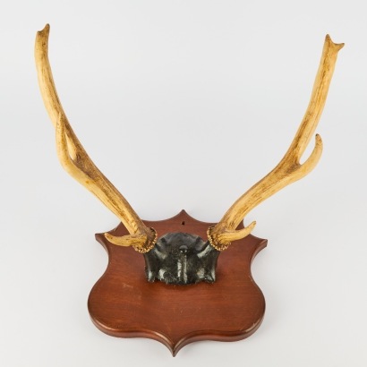 An Antique Pair of Mounted Six-Point Deer Antlers