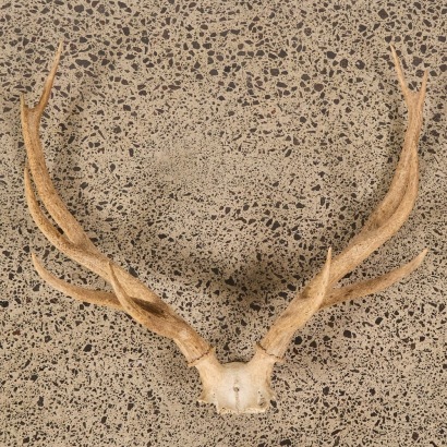 An Antique Pair of 10-Point Deer Antlers A/F