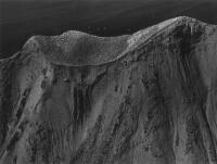 V.C. BROWNE Cape Kidnappers, Gannet Colony