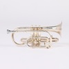 A Fine Edwardian Silver-Plated Cornet By F. Besson & Co, London, Engraved &ldquo;Medals Of Honour&rdquo; circa 1905&ndash;1915 - 7