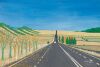 DICK LYNE untitiled (Australian Landscape)