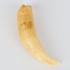 An Antique Sperm Whale Tooth