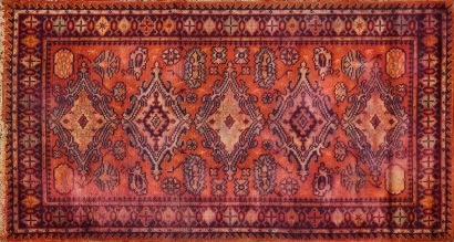 A Hand-Knotted Persian Shiraz Rug