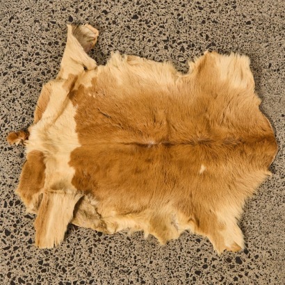 A Vintage Goat Hide