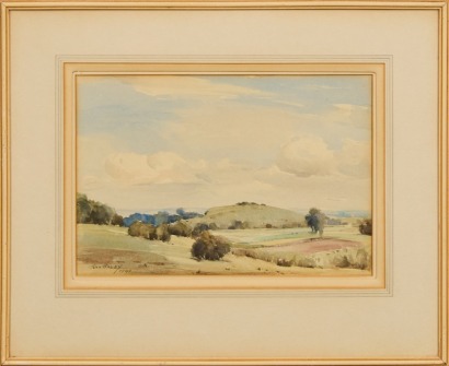 JOHN HALEY Mt. St. John Landscape