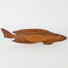 A Pitcairn Islands Fish