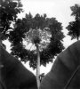 MAX DUPAIN untitled