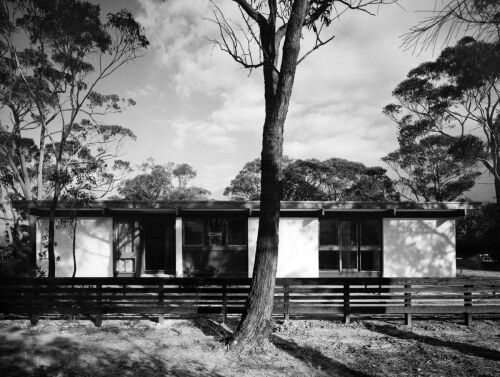 MAX DUPAIN The award-winning Lowline - Pettit and Sevitt's entry in the Institute of Architects' project house competition