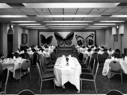 MAX DUPAIN Lighting in the Butterfly Room at the Sebel Town House, Sydney - Winner of the main IES lighting award last year