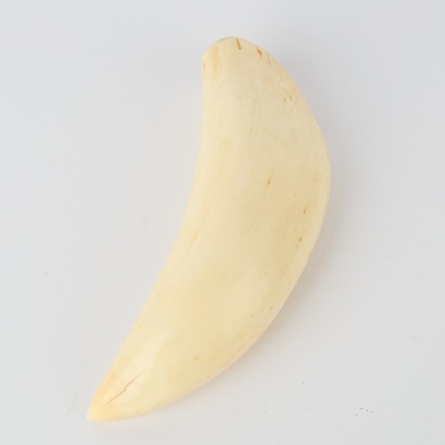 An Antique Sperm Whale Tooth