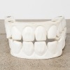 A Huge Set of Plastic Teeth - 2