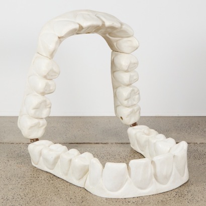 A Huge Set of Plastic Teeth