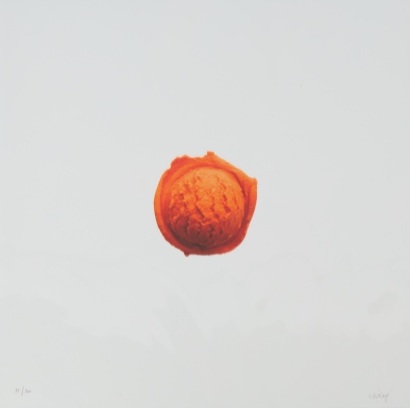 A Print of CJ Hendry Jeni's Opaque Edition Ice Cream Scoop in Orange