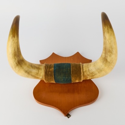 An Antique Set of Bullhorns