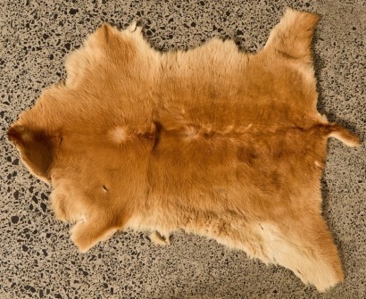 A Vintage Goat Hide