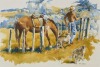 PETER MCINTYRE King Country Musterer