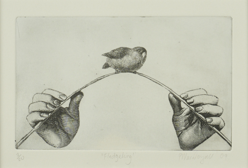PRUE MACDOUGALL Fledgling
