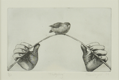 PRUE MACDOUGALL Fledgling