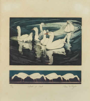 JOAN TAYLOR Afloat at Last