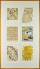 JENNY DOLEZEL, JOHN REYNOLDS AND RODNEY FUMPSTON untitled - 2