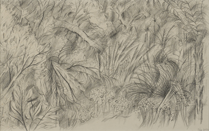 NELSON THOMPSON Piha