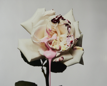 VICKI LEE untitled