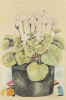 PAMELA WOLFE untitled