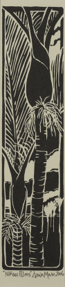 DAWN MANN Nikau Palms