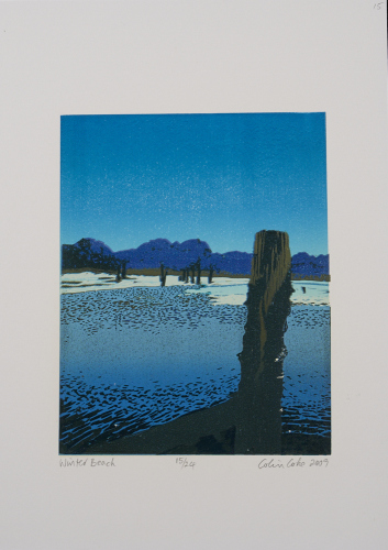 COLIN COKE Winter Beach
