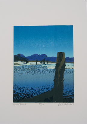 COLIN COKE Winter Beach
