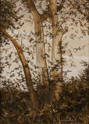 JUDITH MORETON April at Tatuanui