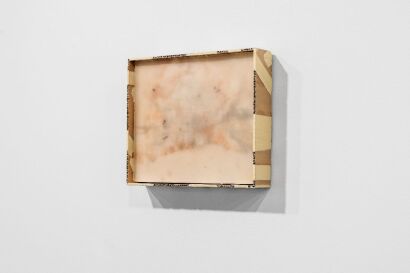 ROBYN PENN Vanishing Present