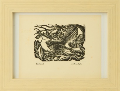 E. MERVYN TAYLOR Pied Fantail