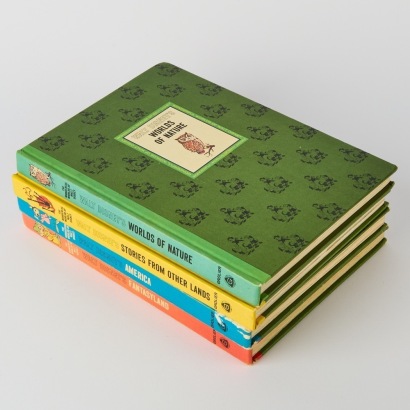 A Collection of 'The Wonderful Worlds of Walt Disney' Books