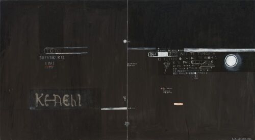 SHANE COTTON Untitled &diams;