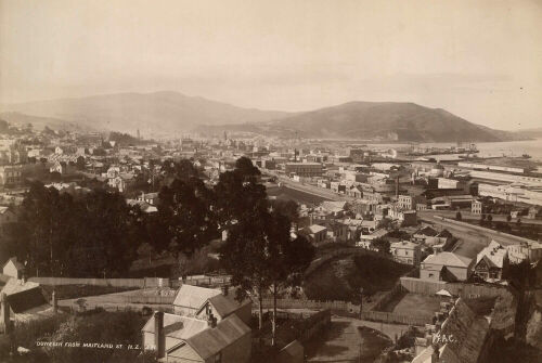 FRANK COXHEAD Dunedin from Maitland St