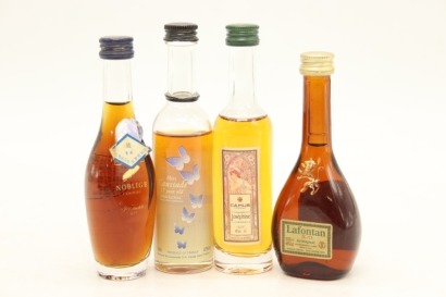 (1) Mixed Cognac/Armagnac miniatures, 4 Bottles sold as One Lot