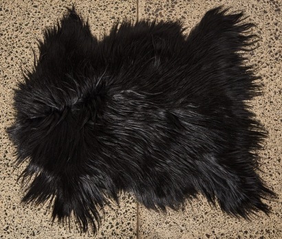 A Black Goat Hide