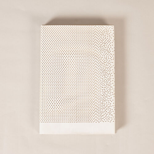 Skin + Bones: Parallel Practices in Fashion and Architecture