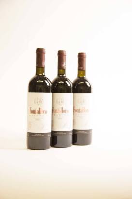 (3) 2004 Felsina Berardenga Fontalloro, Tuscany
