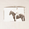 Ponykids - 2