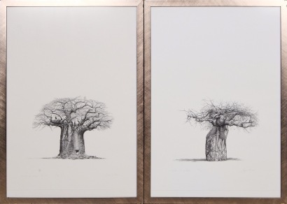 A pair of Bowen Bosher limited edition Prints (framed) Still Life with Hornbill and Still Life with Warthog