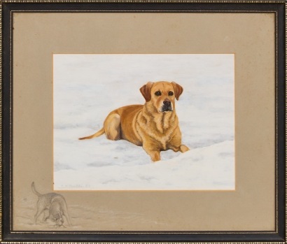 A Beautiful Detailed Painting Of A Labrador Dog By S.J Franklin