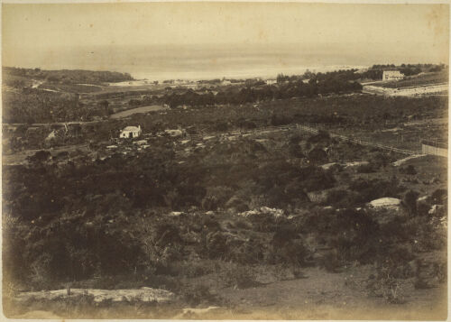 NICHOLAS JOHN CAIRE View of Coogee Bay from Randwick Hill