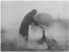 WILLIAM BEATTIE Cooking in hot spring, NZ