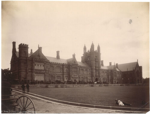 HENRY KING Sydney: Universitat (Sydney University)