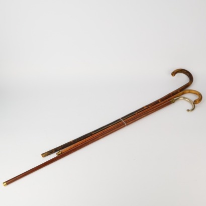 Two Walking Sticks