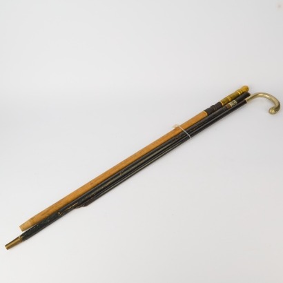 Three Walking Sticks