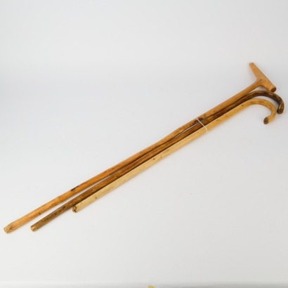 Three Walking Sticks