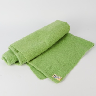 A Pure Wool Petone Blanket in Green
